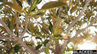 A Surpresa Exibicionista de Apolonia em um Duplo Recital